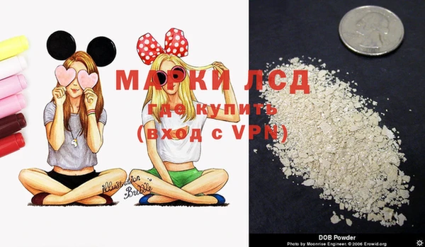 PSILOCYBIN Верея