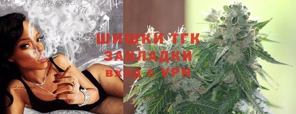 PSILOCYBIN Верея