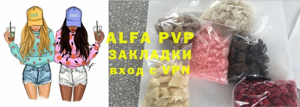 PSILOCYBIN Верея