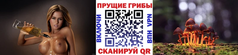 Псилоцибиновые грибы MAGIC MUSHROOMS  Курск 